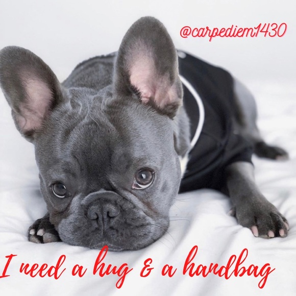 โจ CARPEDIEM1430 โจ - Picture 7 of 14